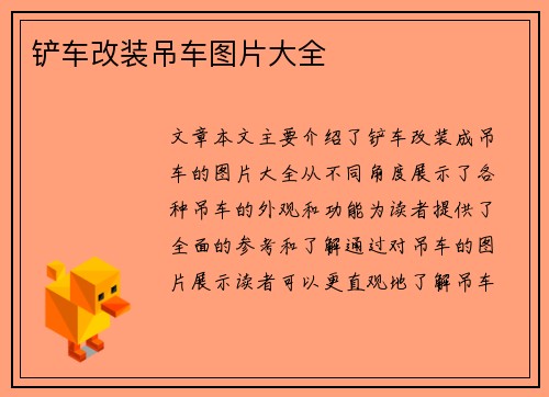 铲车改装吊车图片大全